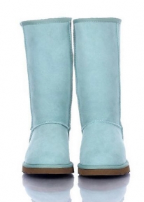 Сапожки UGG Australia Classic Tall