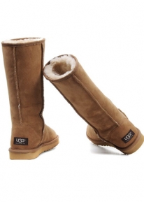 Сапожки UGG Australia Classic Tall